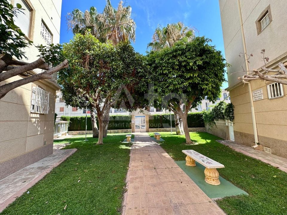 2 bedroom Apartment in Torrevieja - CT145061 - Photo - 26