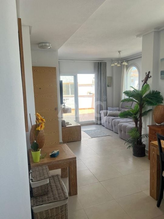 2 bedroom Penthouse in Sucina - CSD145155 - Photo - 7