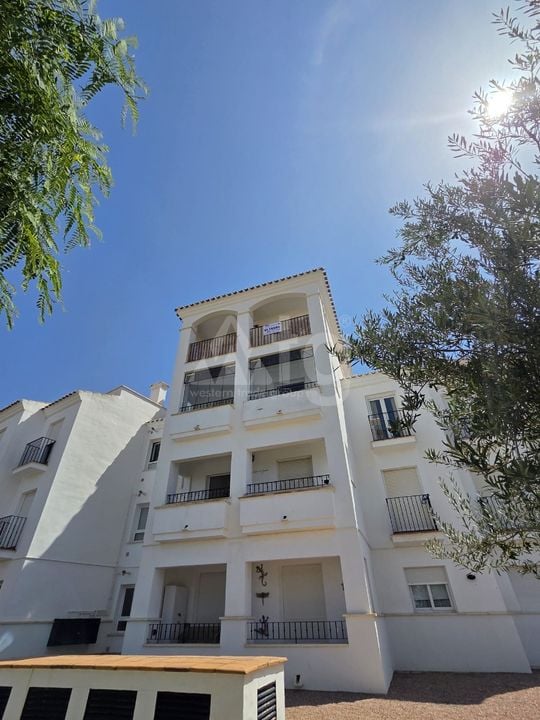 2 bedroom Penthouse in Sucina - CSD145155 - Photo - 14