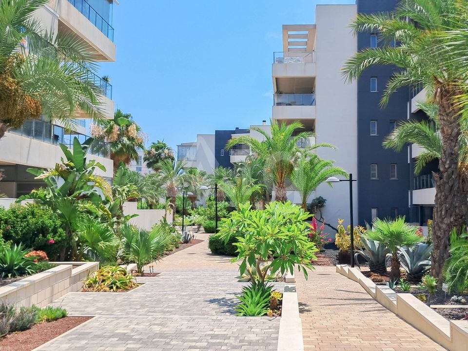 Appartement de 3 chambres à Orihuela Costa - HO145166 - Photo - 32