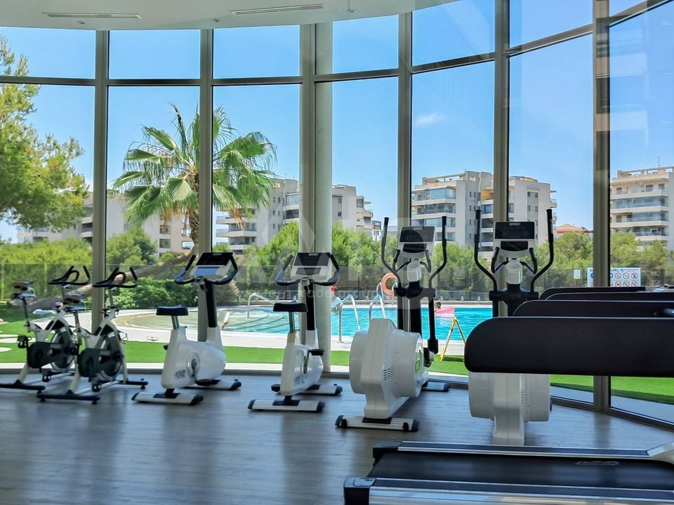 Appartement de 3 chambres à Orihuela Costa - HO145166 - Photo - 28