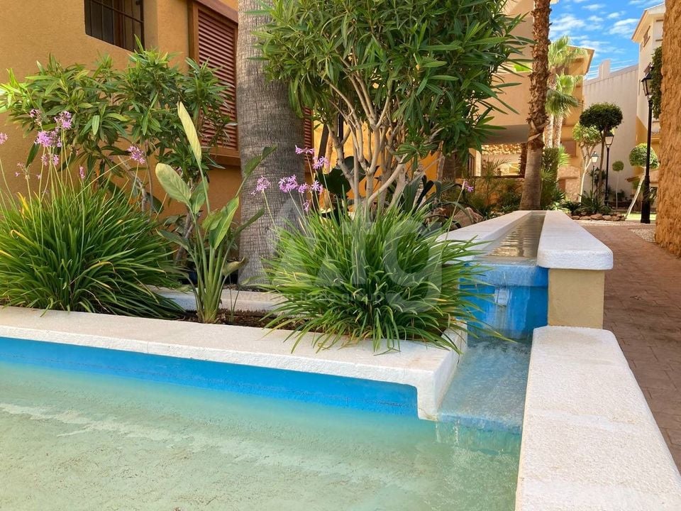 2 bedroom Apartment in Punta Prima - LR145193 - Photo - 17