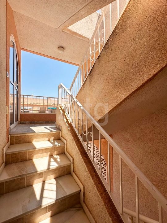 2 bedroom Bungalow in Torrevieja - FPS145386 - Photo - 17