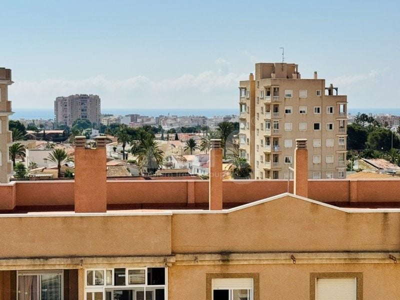 2 bedroom Apartment in Torrevieja - SMPN145425 - Photo - 17