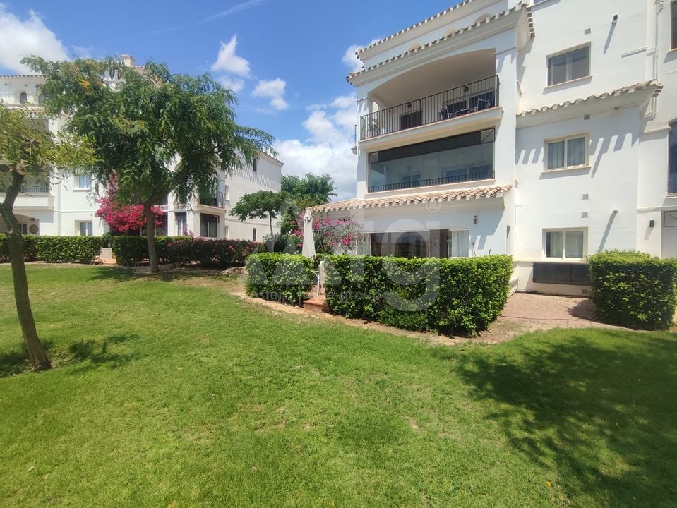 2 bedroom Apartment in Sucina - PSP145592 - Photo - 22