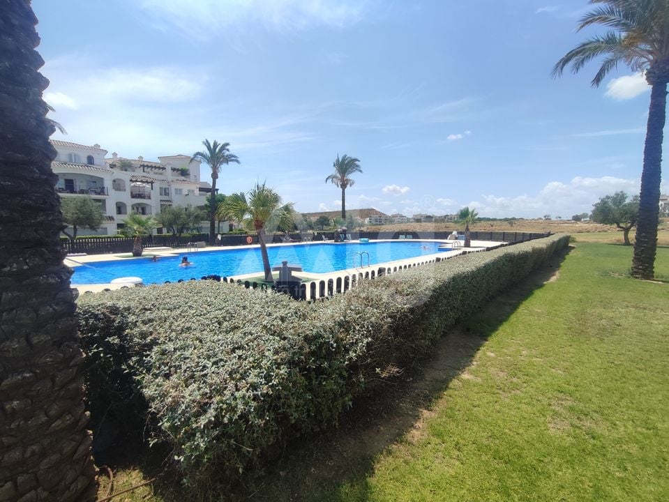 2 bedroom Apartment in Sucina - PSP145592 - Photo - 24