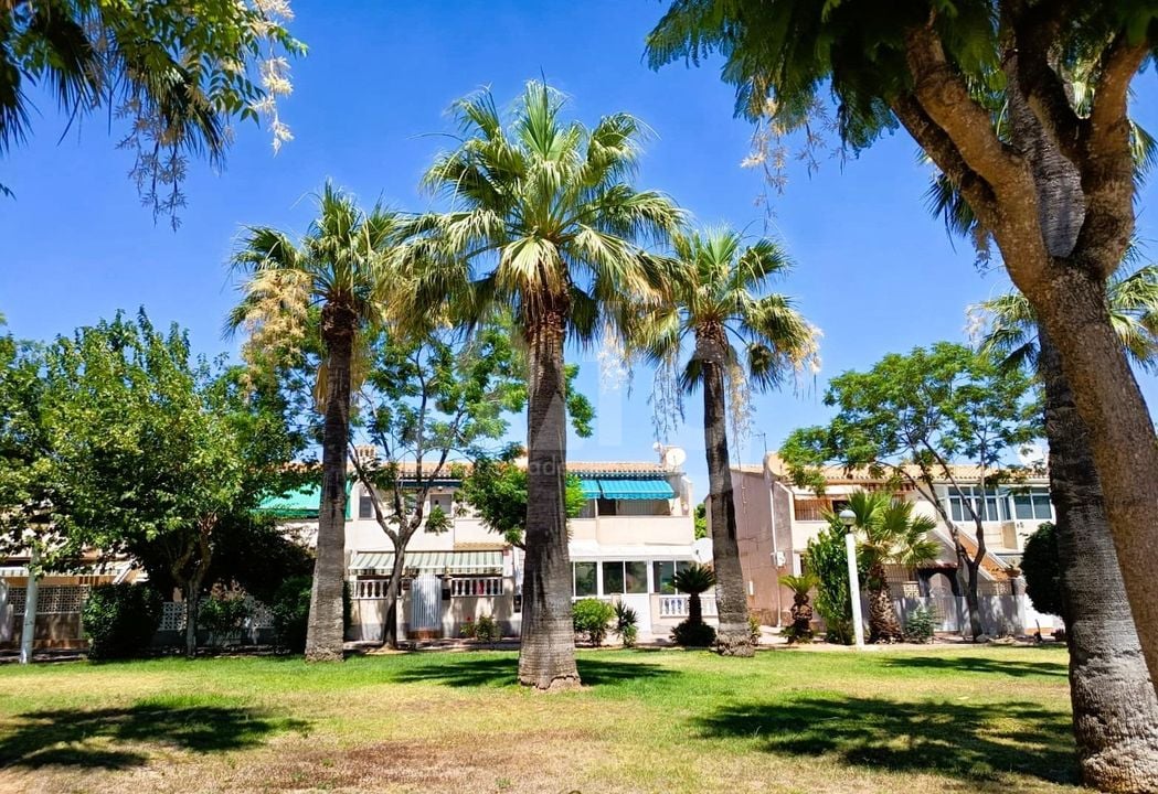 Bungalow de 2 chambres à Orihuela Costa - CRR146032 - Photo - 24