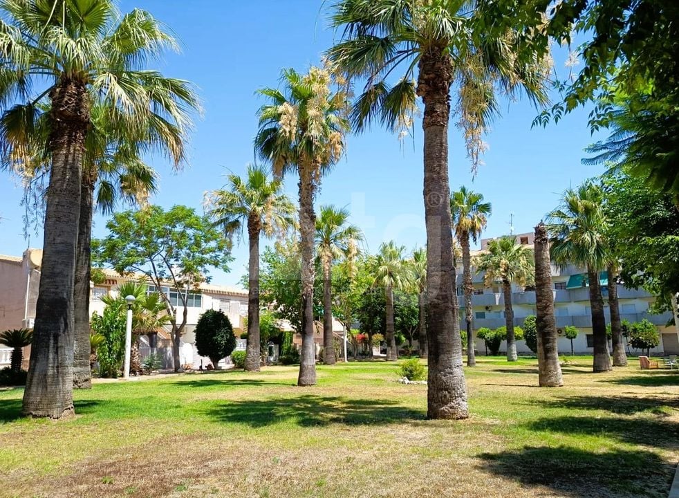 Bungalow de 2 chambres à Orihuela Costa - CRR146032 - Photo - 25