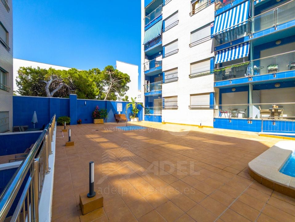 2 bedroom Apartment in Torrevieja - AP146109 - Photo - 18