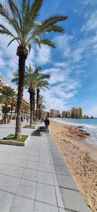 3 bedroom Apartment in Torrevieja - VEC146327 - Photo - 15