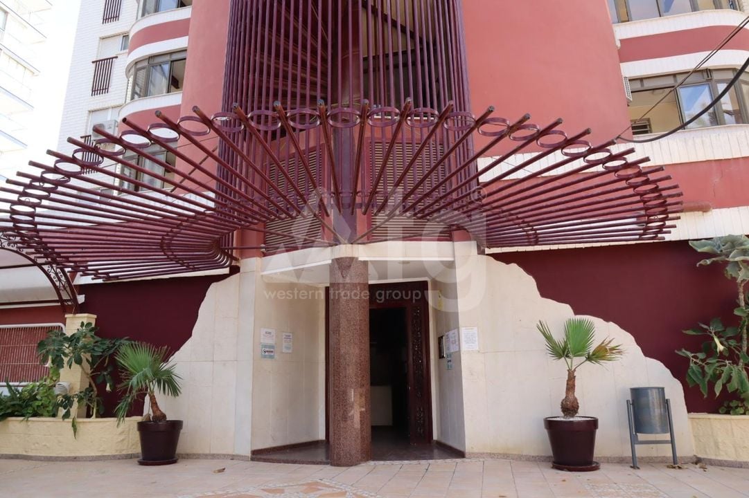Appartement de 1 chambre à Benidorm - SSL146333 - Photo - 2