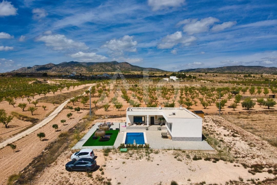 Villa de 3 chambres à Pinoso - SLN146389 - Photo - 25