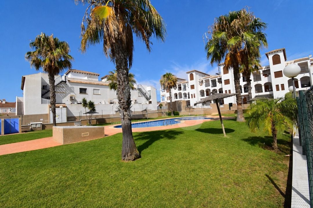 2 bedroom Apartment in Playa Flamenca - VRE146784 - Photo - 17
