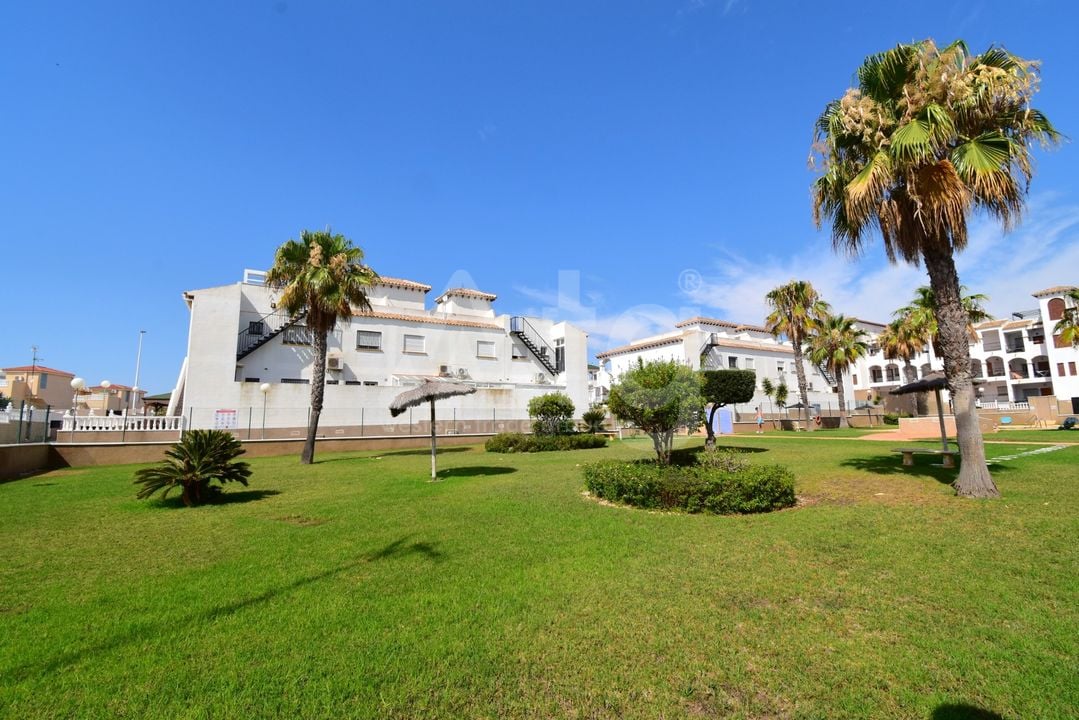 2 bedroom Apartment in Playa Flamenca - VRE146784 - Photo - 18
