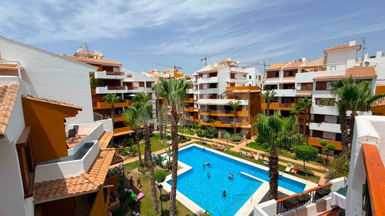 2 bedroom Apartment in Punta Prima - LR146893 - Photo - 20