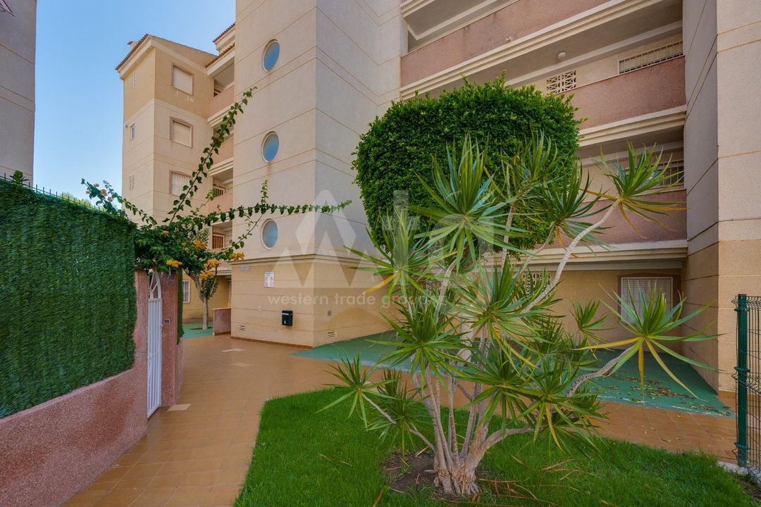 2 bedroom Apartment in Torrevieja - CYM146977 - Photo - 26