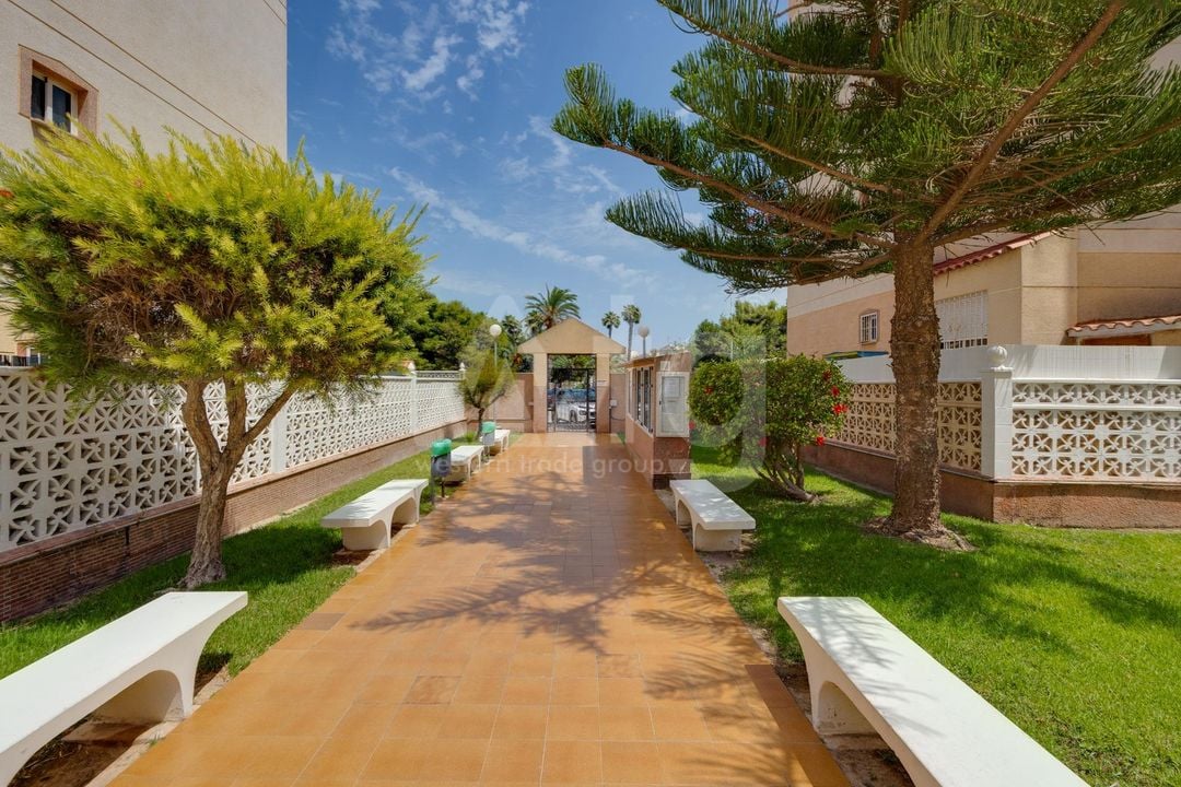 2 bedroom Apartment in Torrevieja - CYM146977 - Photo - 27