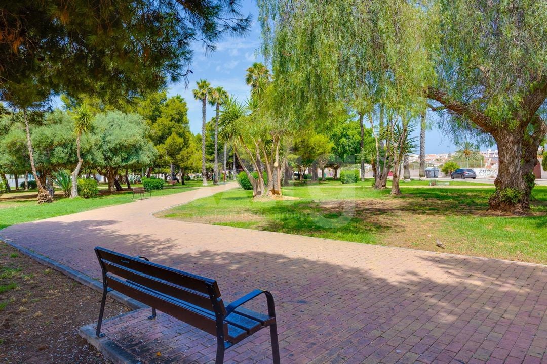 2 bedroom Apartment in Torrevieja - CYM146977 - Photo - 29