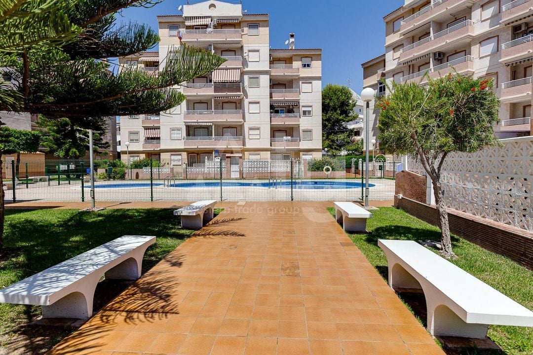 2 bedroom Apartment in Torrevieja - CYM146977 - Photo - 28