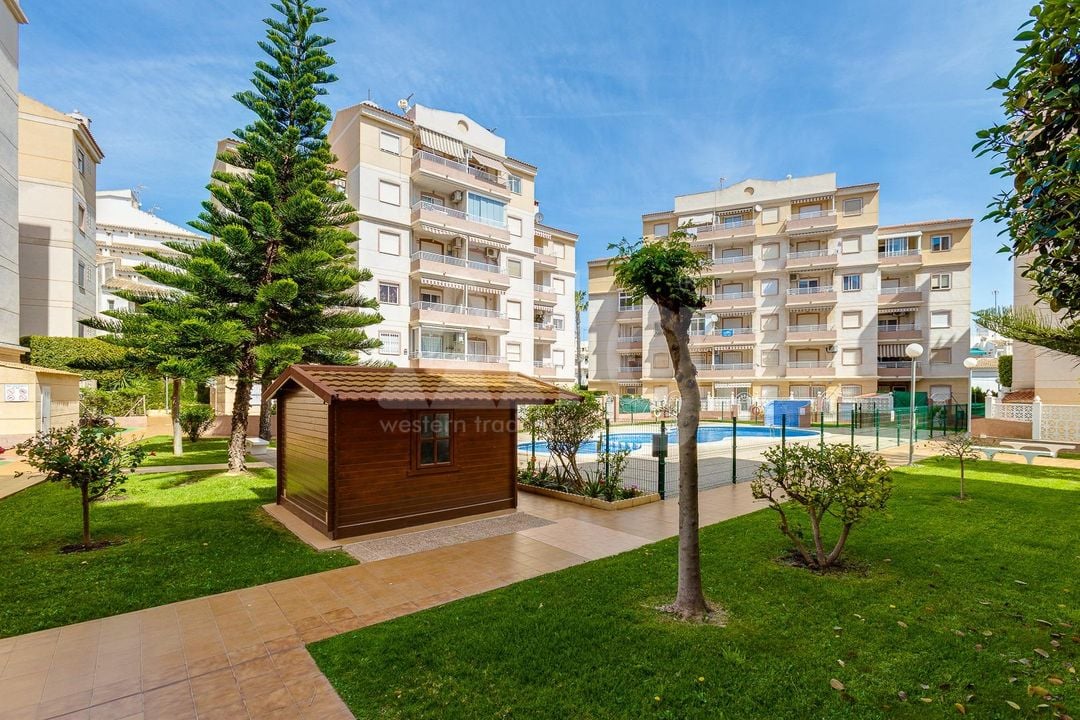 2 bedroom Apartment in Torrevieja - CYM146977 - Photo - 30