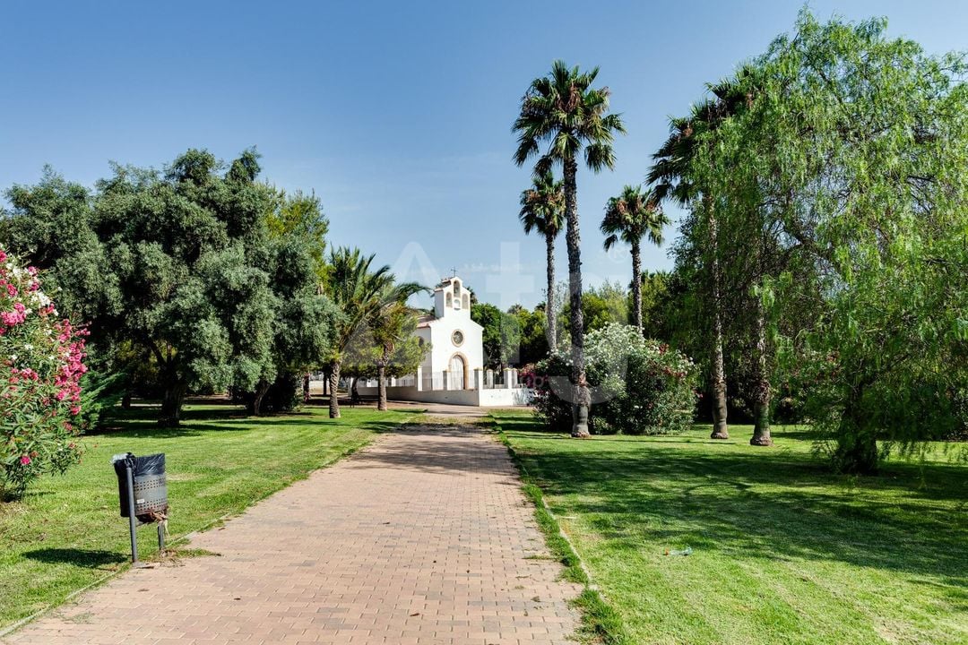 2 bedroom Apartment in Torrevieja - CYM146977 - Photo - 34