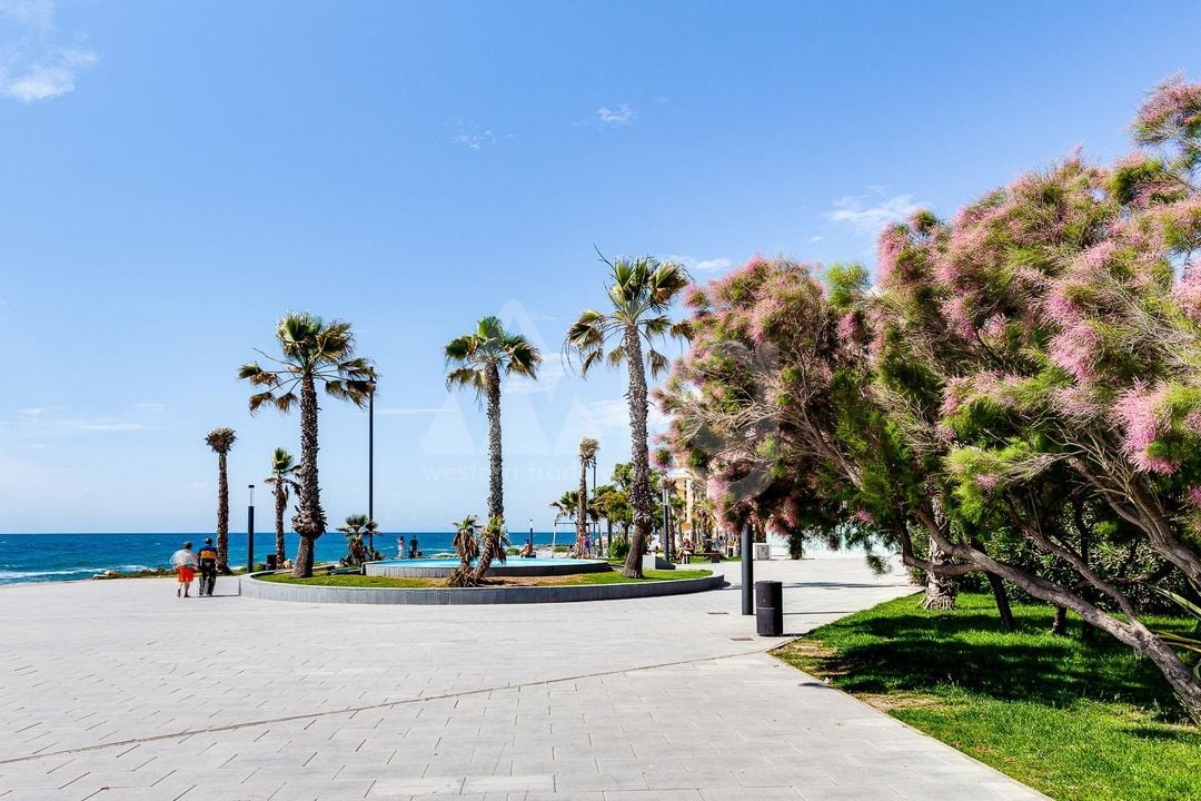 2 bedroom Apartment in Torrevieja - CYM146983 - Photo - 26