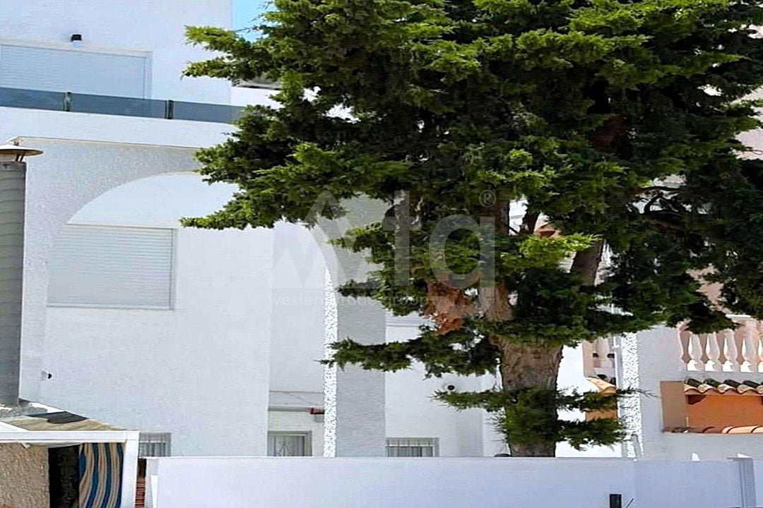 3 bedroom Townhouse in Torrevieja - SV147208 - Photo - 19