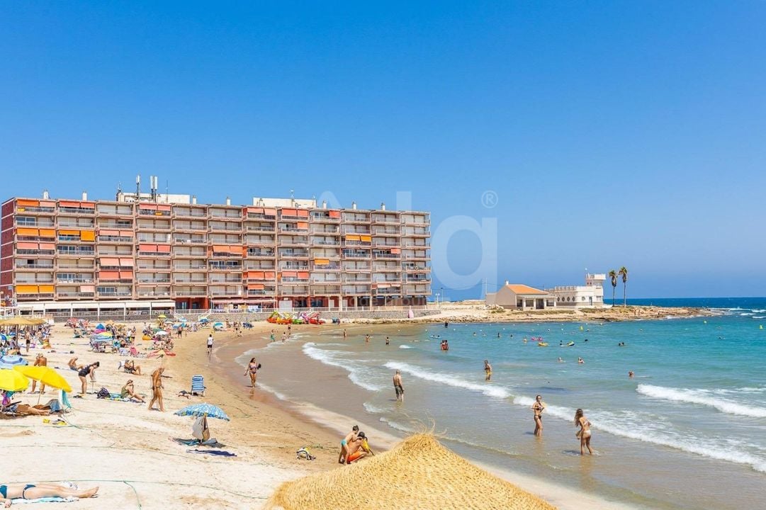 3 bedroom Townhouse in Torrevieja - SV147208 - Photo - 32