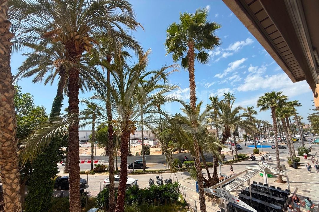 3 bedroom Apartment in Torrevieja - RCJ147393 - Photo - 25