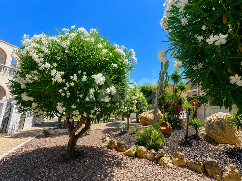 1 bedroom Bungalow in La Mata - CI147553 - Photo - 15