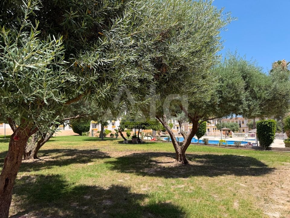 Penthouse   v Orihuela Costa, 1 ložnice - IMO147773 - Foto - 9