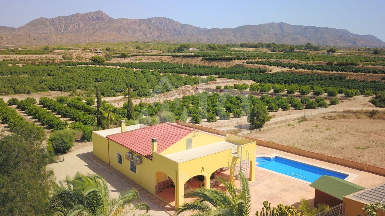3 bedroom Villa in Albatera - VRE147819 - Photo - 34