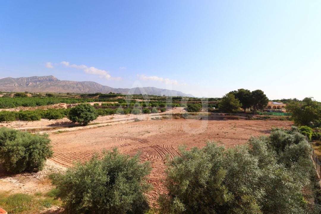3 bedroom Villa in Albatera - VRE147819 - Photo - 33