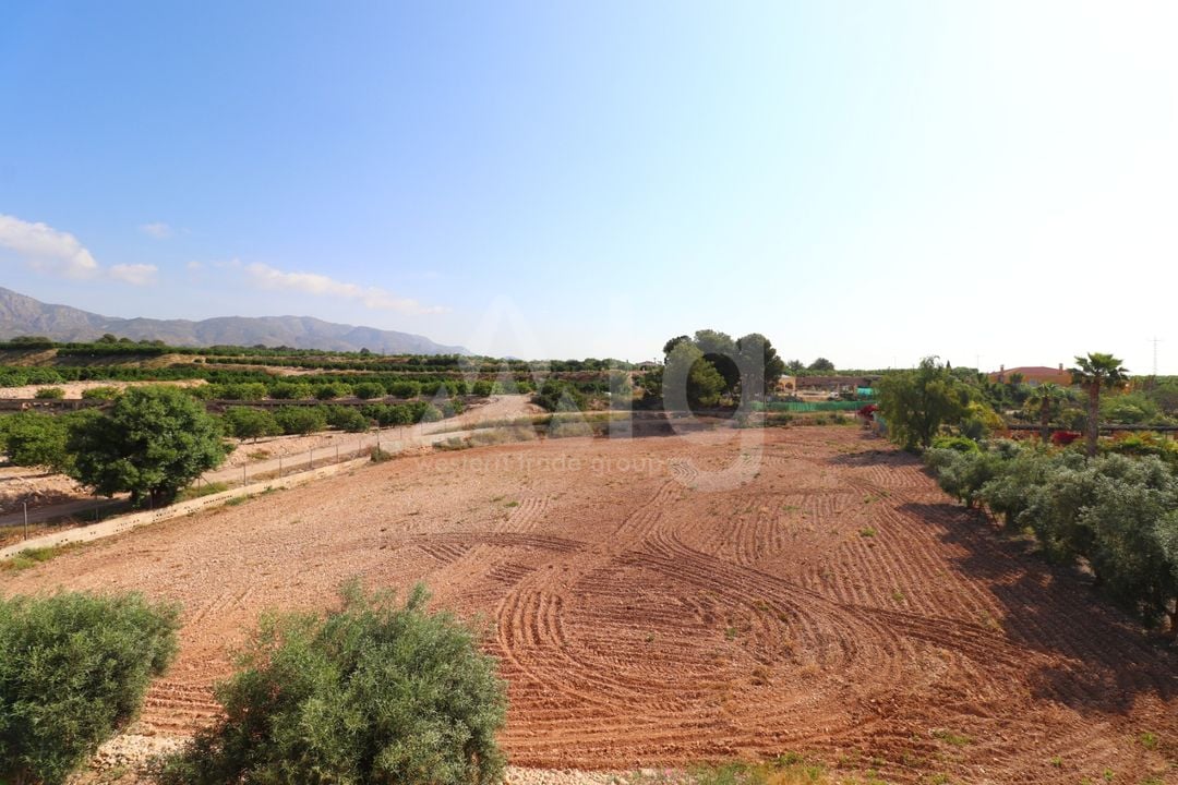 3 bedroom Villa in Albatera - VRE147819 - Photo - 32