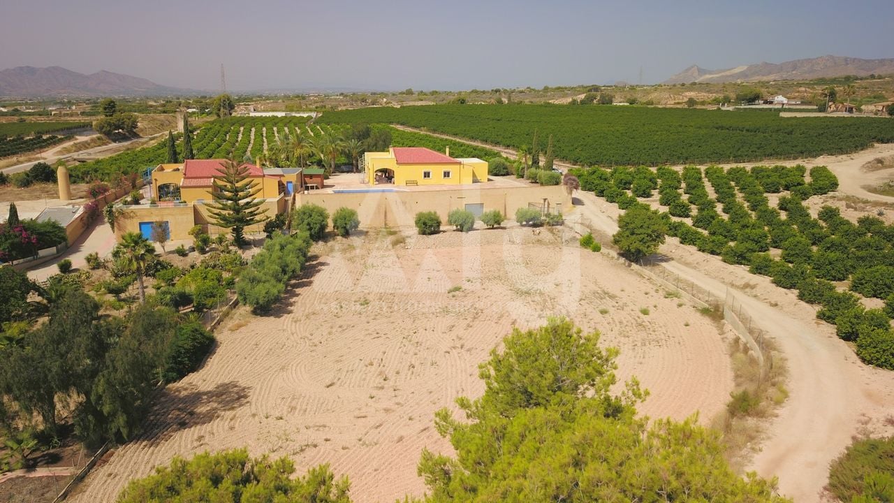 3 bedroom Villa in Albatera - VRE147819 - Photo - 40