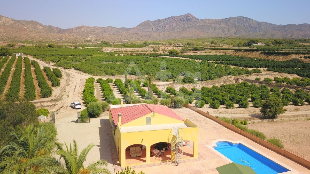 3 bedroom Villa in Albatera - VRE147819 - Photo - 37