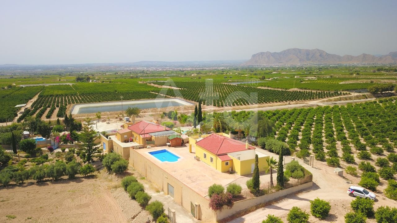 3 bedroom Villa in Albatera - VRE147819 - Photo - 39