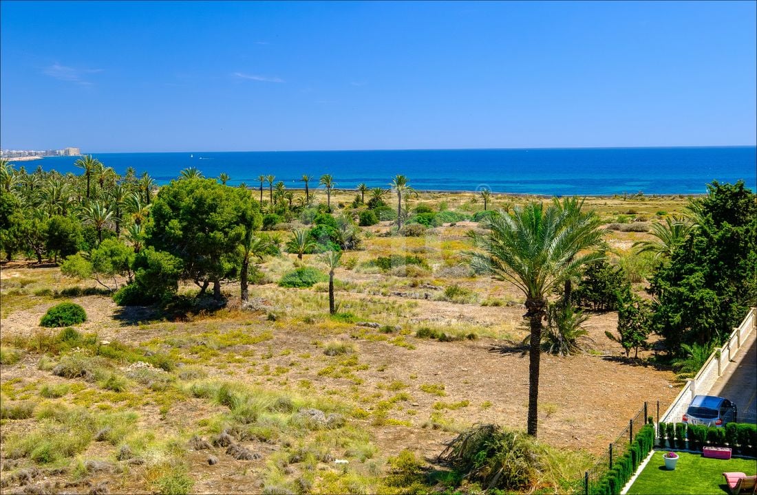 3 bedroom Apartment in Punta Prima - LR148133 - Photo - 26