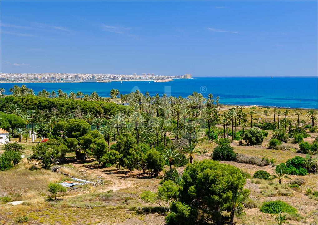 3 bedroom Apartment in Punta Prima - LR148133 - Photo - 27