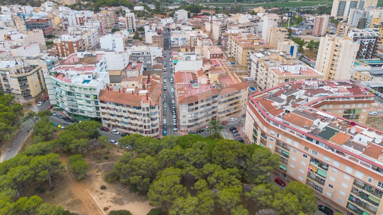 Apartamento de 1 habitación en Guardamar del Segura - GVS148357 - Foto - 20