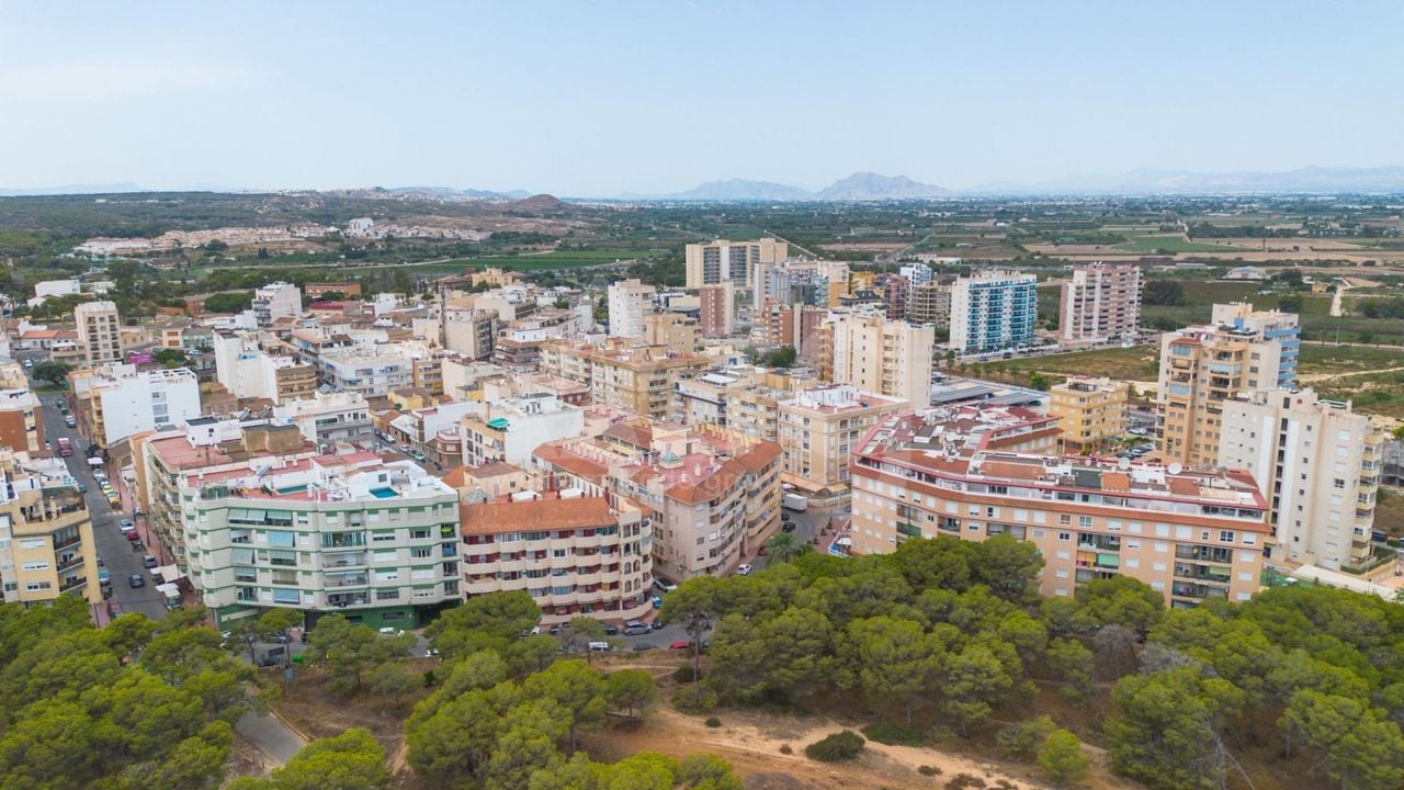 Apartamento de 1 habitación en Guardamar del Segura - GVS148357 - Foto - 21