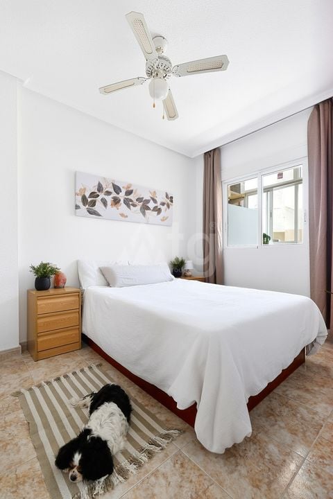 2 bedroom Apartment in Torrevieja - OKW148643 - Photo - 8