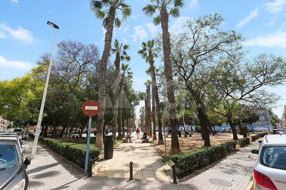 2 bedroom Apartment in Torrevieja - OKW148643 - Photo - 23