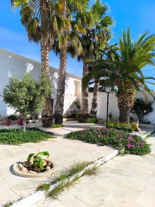 Villa de 5 habitaciones en Murcia - SIP148830 - Foto - 17