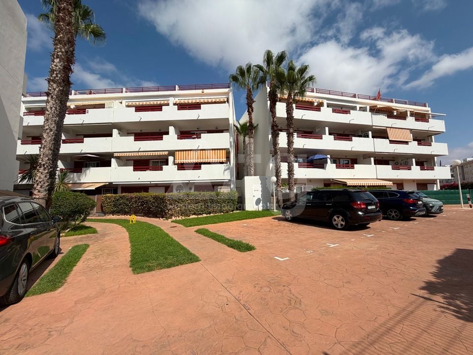 3 bedroom Apartment in Playa Flamenca - CSW148872 - Photo - 19