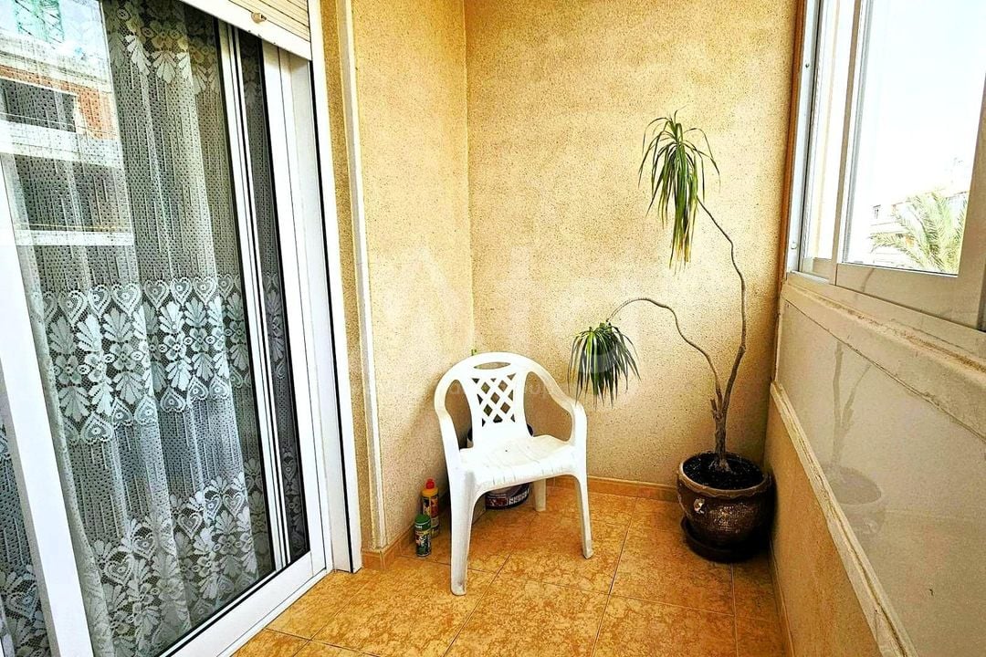 2 bedroom Apartment in Torrevieja - SV149034 - Photo - 11