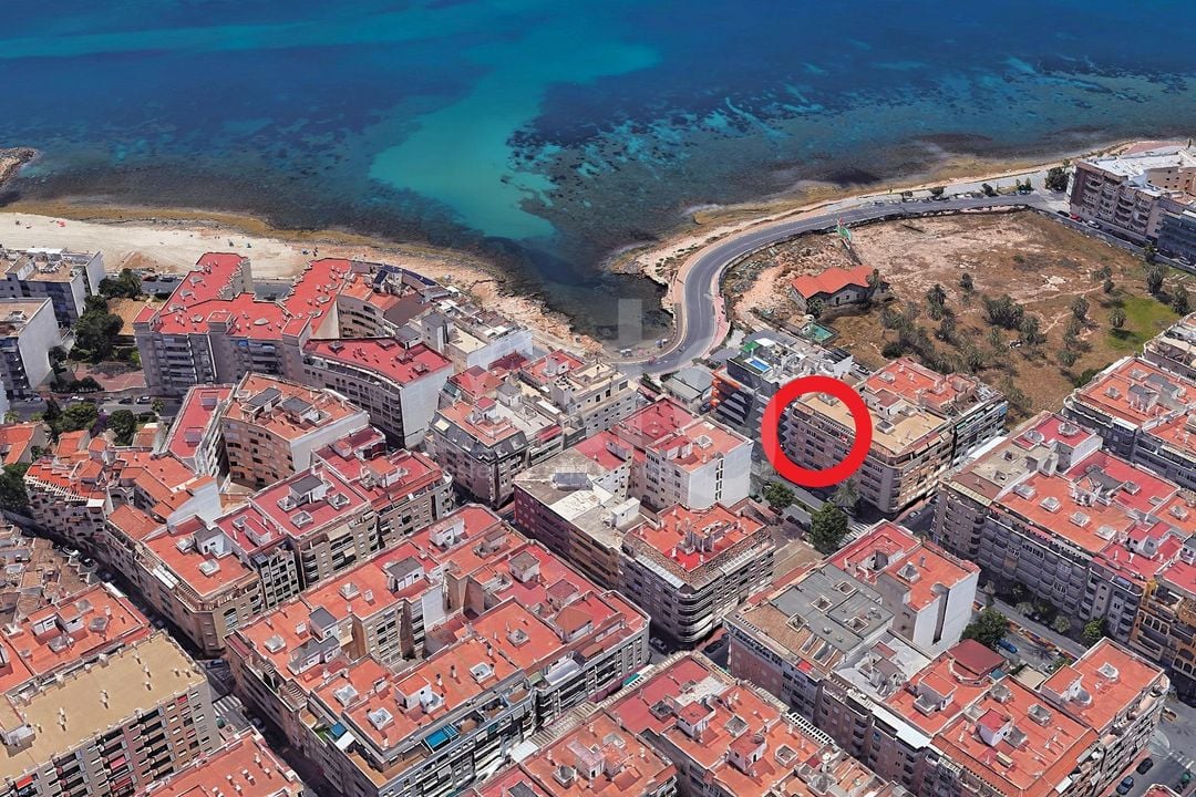 2 bedroom Apartment in Torrevieja - SV149034 - Photo - 16