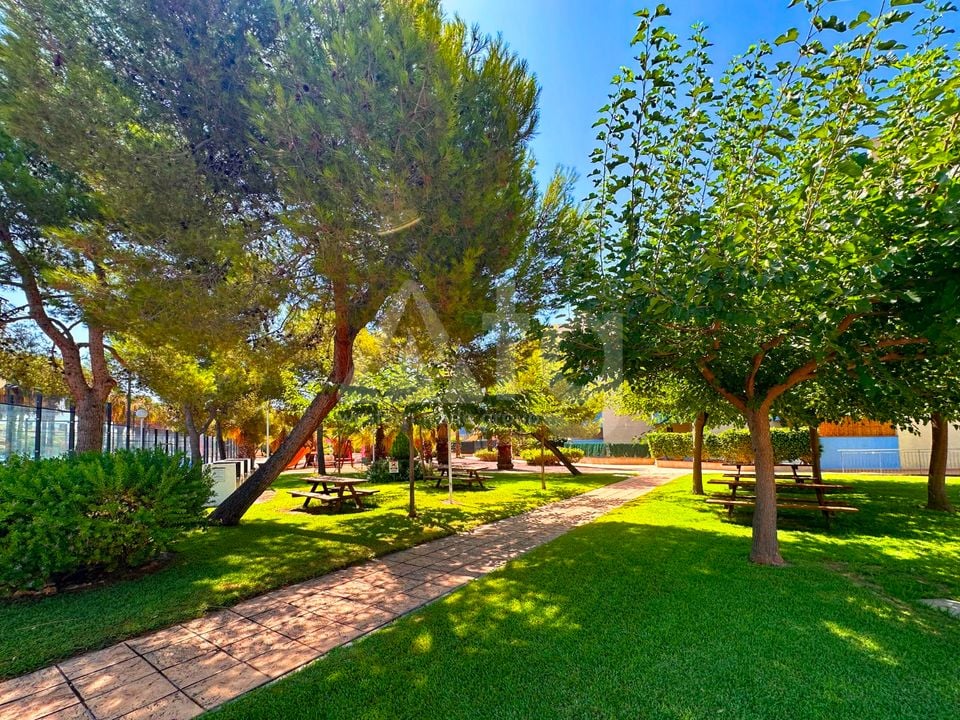 Appartement de 2 chambres à Orihuela Costa - FPS149077 - Photo - 29
