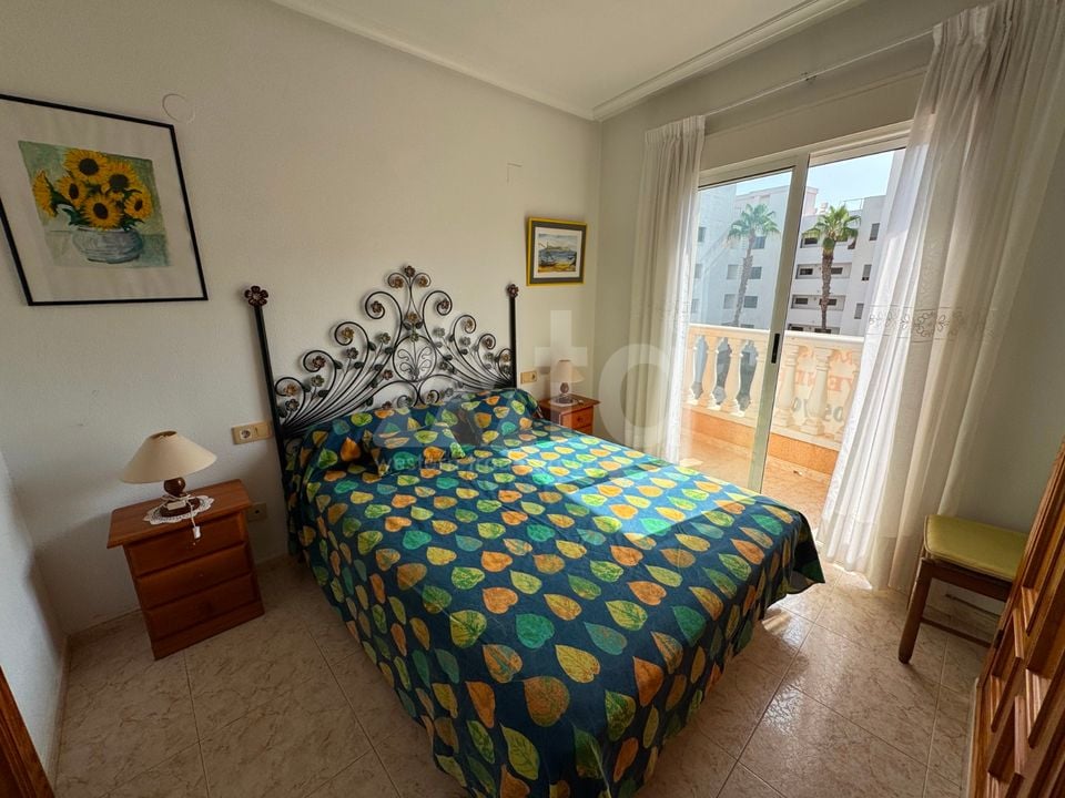 Appartement de 3 chambres à Guardamar del Segura - NSP149196 - Photo - 6