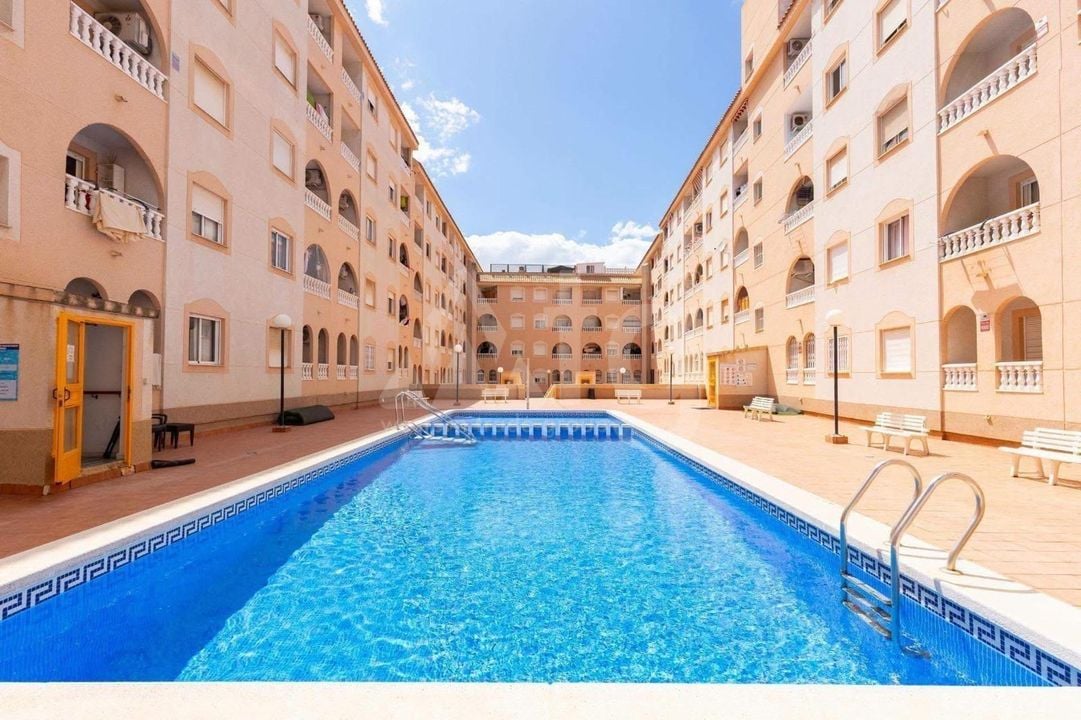 1 bedroom Apartment in Torrevieja - HRE149241 - Photo - 2